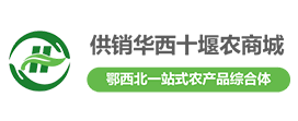 澳门正版精准免费大全